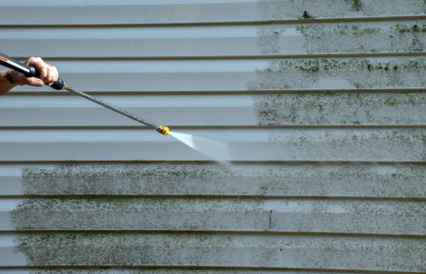 Best Sidewalk and Walkway Cleaning  in Demorest, GA